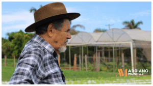 revisao rural inss